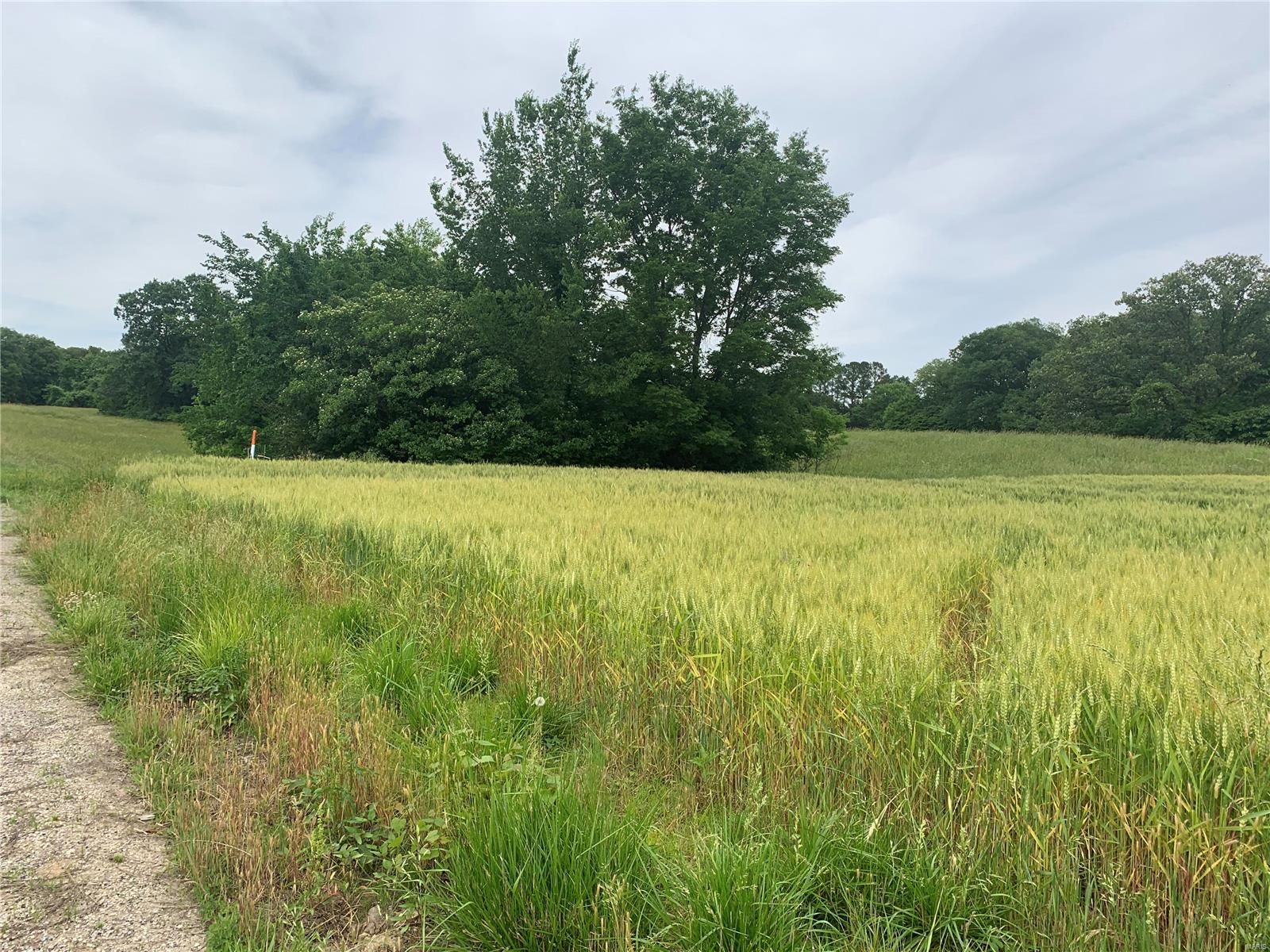 0 Kaskaskia Road Fults, IL 62244 - Photo 9 of 13