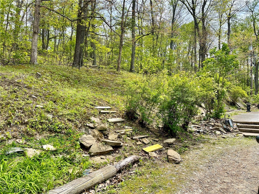 58970 Vocational Road Byesville, OH 43723 - Photo 5 of 38 back yard