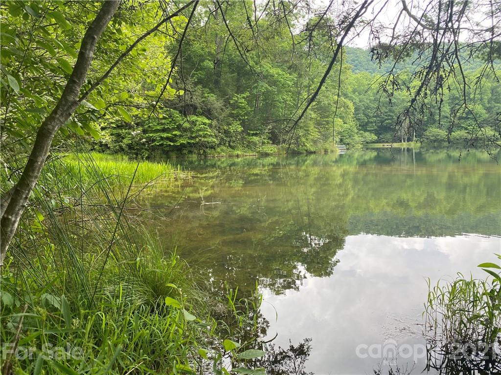 552 Lake Road, Unit 930 Old Fort, NC 28762 - Photo 5 of 47 Gallery Image 5