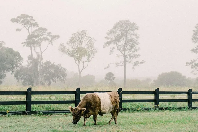 $1,399,000 | 3034 Bell Cv Alley, Johns Island, SC 29455