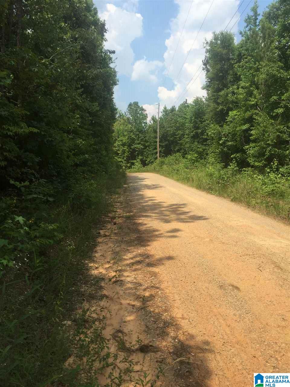 0 Rendalia Motorway, Unit 29 ACRES Talladega, AL 35160 - Photo 17 of 21