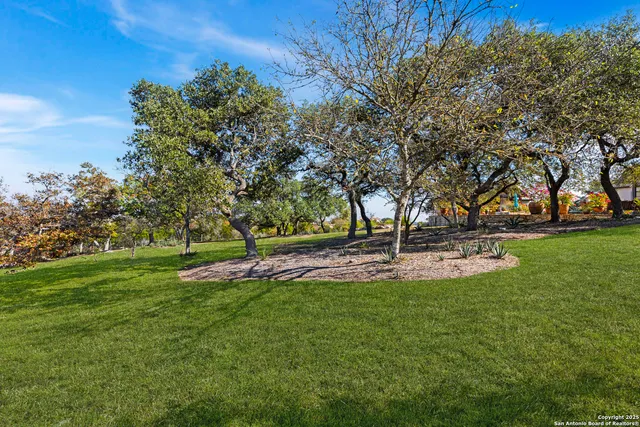 a view of a park with large trees