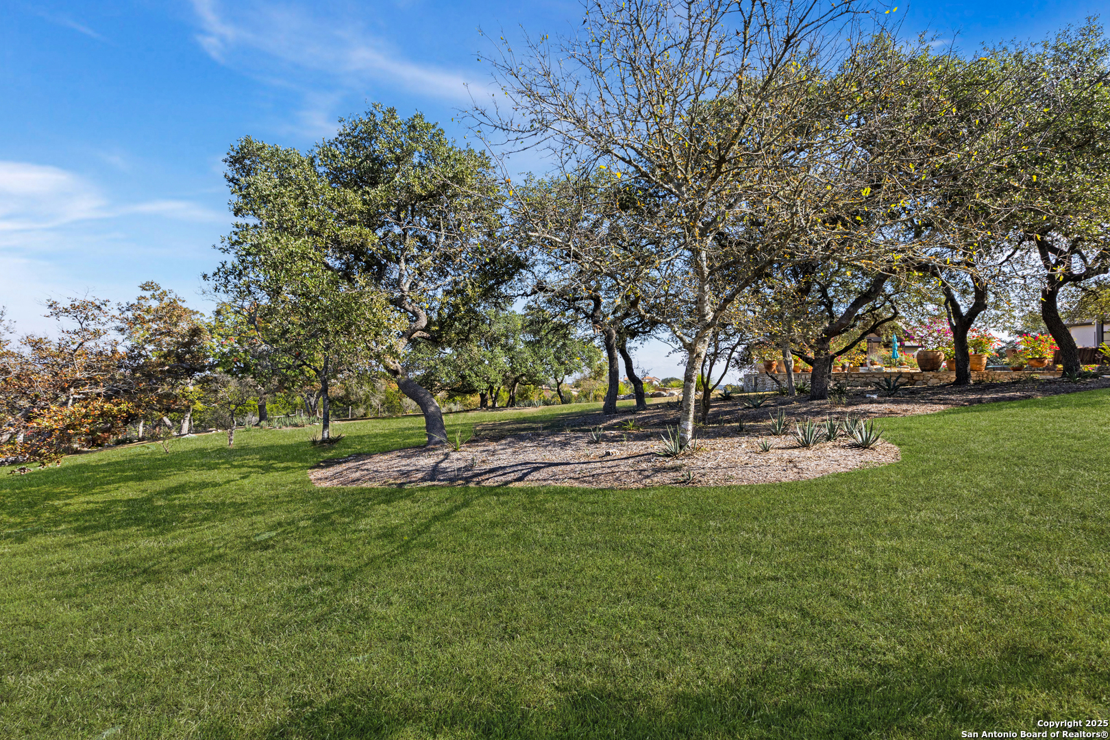 165 Painted Sky Comfort, TX 78013 - Photo 15 of 49 a view of a park with large trees