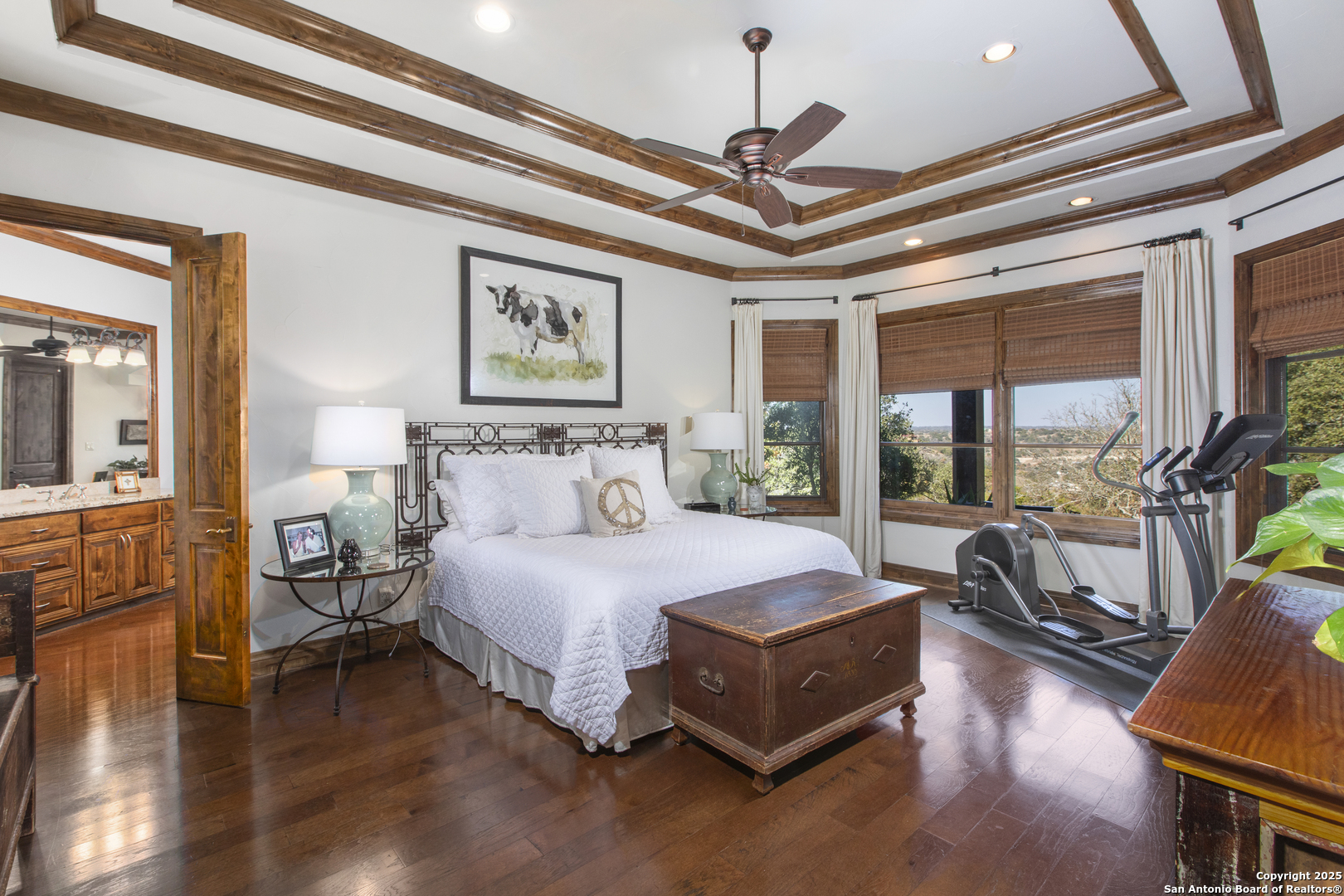 165 Painted Sky Comfort, TX 78013 - Photo 26 of 49 a spacious bedroom with a bed a chandelier and next to a window
