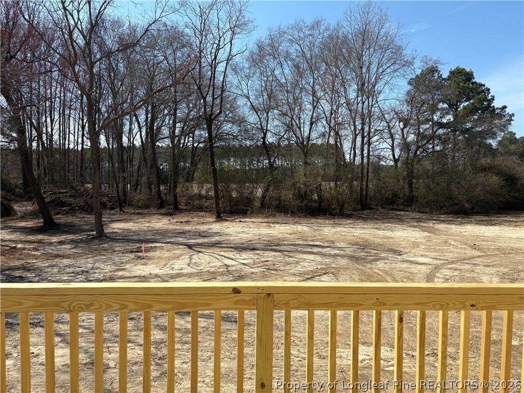 3205 Leaflet Church Road Broadway, NC 27505 - Photo 16 of 18