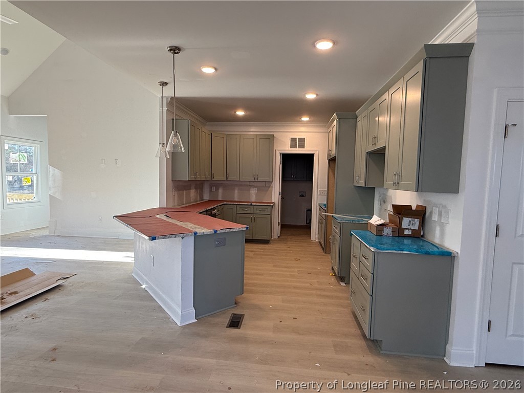 3205 Leaflet Church Road Broadway, NC 27505 - Photo 4 of 18