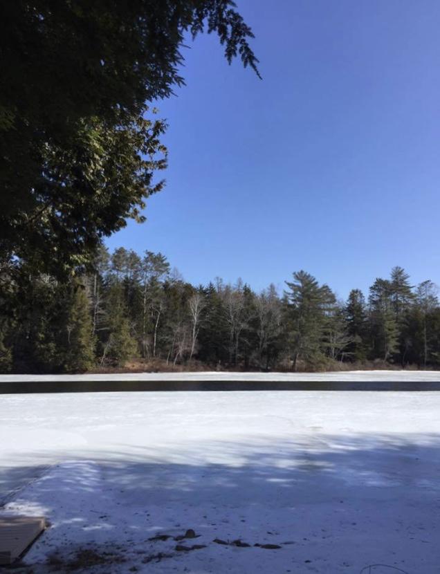630 Springy Pond Road Ellsworth, ME 04605 - Photo 23 of 27 IMG_1252