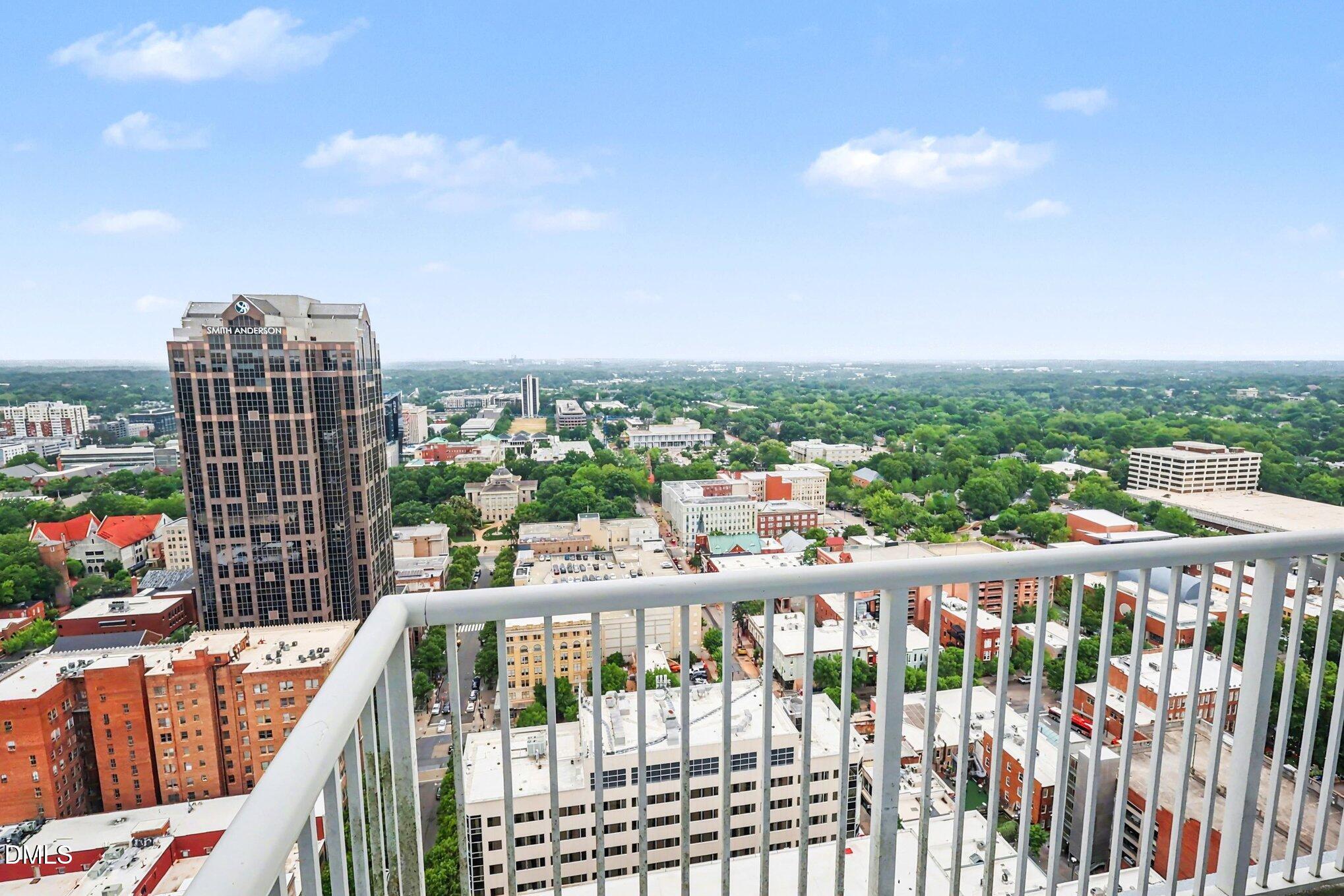 301 Fayetteville Street, Unit 3002 Raleigh, NC 27601 - Photo 29 of 31 006_file_4921