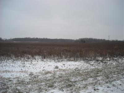 263 Stickney Road Coldwater, MI 49036 - Photo 2 of 2 Additional Photo