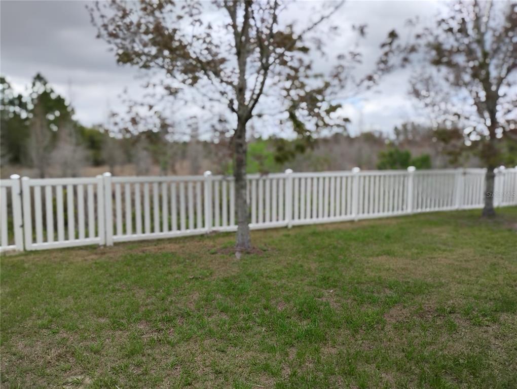 5107 Autumn Ridge Drive Wesley Chapel, FL 33545 - Photo 30 of 35 a view of a yard with a wooden fence
