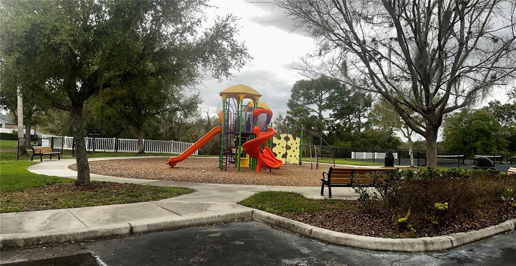 5107 Autumn Ridge Drive Wesley Chapel, FL 33545 - Photo 33 of 35 a view of outdoor space with garden and entertaining space