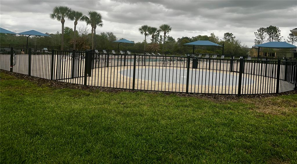 5107 Autumn Ridge Drive Wesley Chapel, FL 33545 - Photo 34 of 35 a view of a yard with a trees