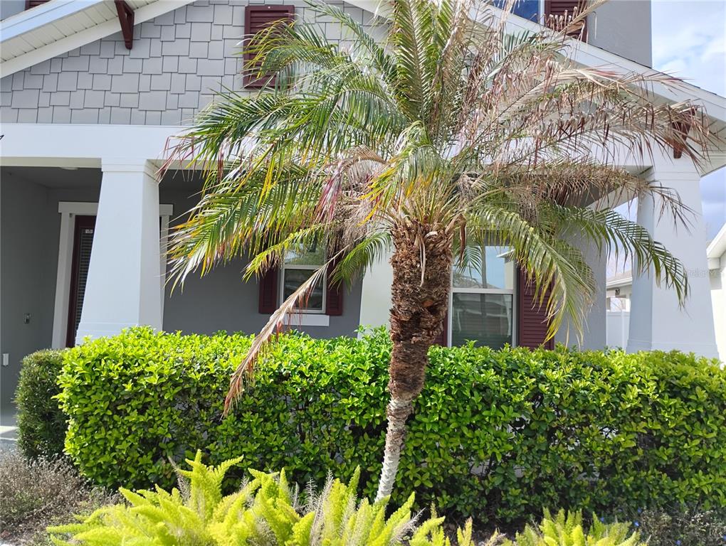 5107 Autumn Ridge Drive Wesley Chapel, FL 33545 - Photo 5 of 35