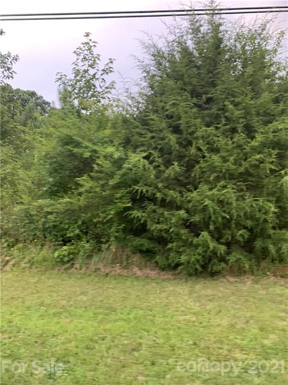 0 North Oak Ridge Road Oakboro, NC 28129 - Photo 2 of 2 Gallery Image 2