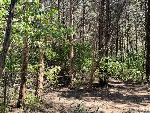 $175,000 | 113 Elizabeth Court, Wright City, MO 63390