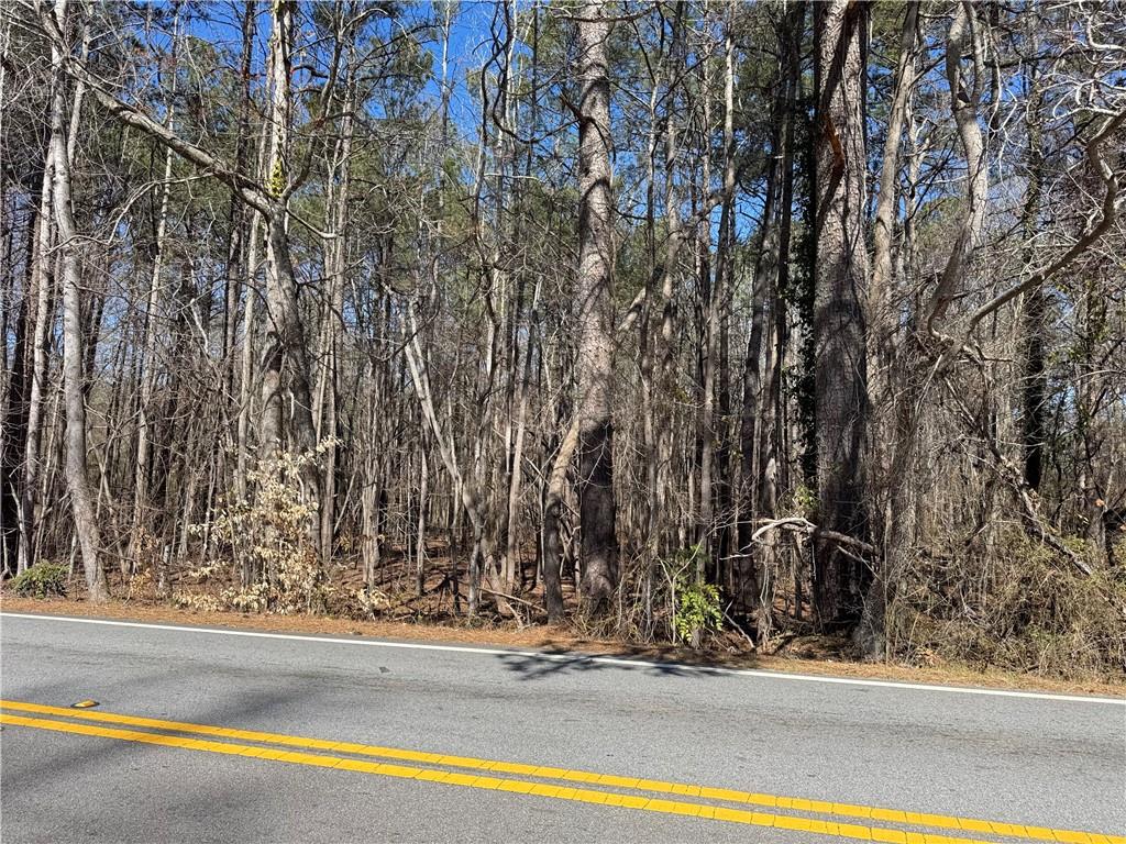 0 Sullivan Road Southwest Powder Springs, GA 30127 - Photo 2 of 4 a view of a bird bath tub
