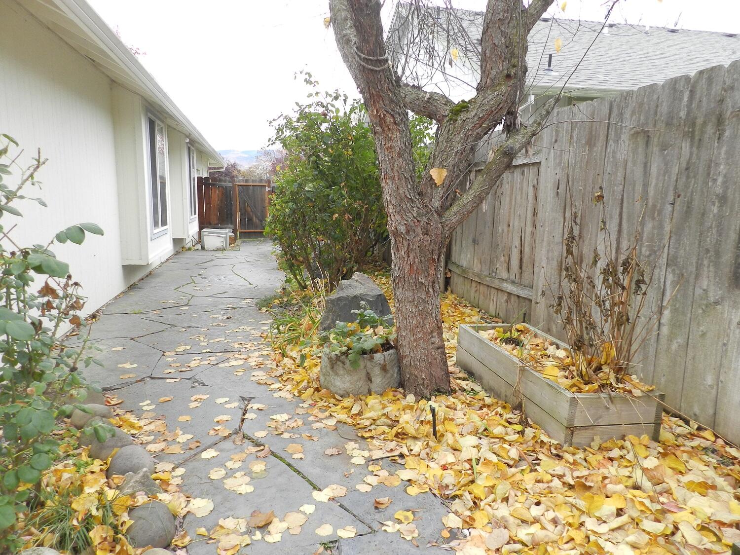 648 Benjamin Way Phoenix, OR 97535 - Photo 27 of 29 a view of a yard with plants and large trees