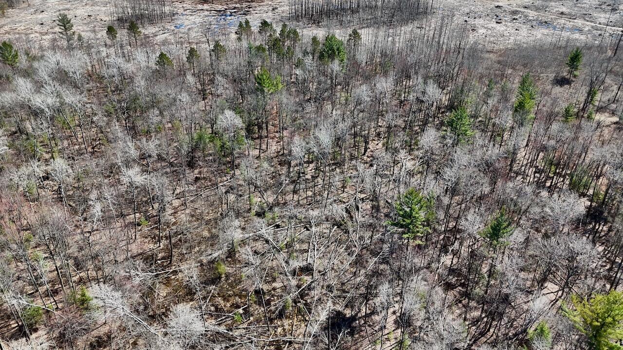 1697 Wildwood Road Sterling, MI 48659 - Photo 60 of 85 058