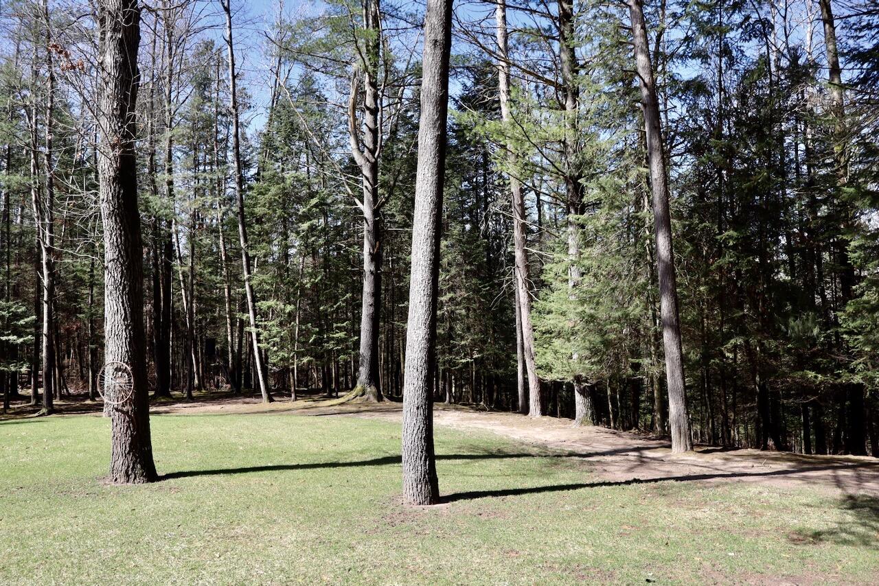 1697 Wildwood Road Sterling, MI 48659 - Photo 65 of 85 IMG_2147