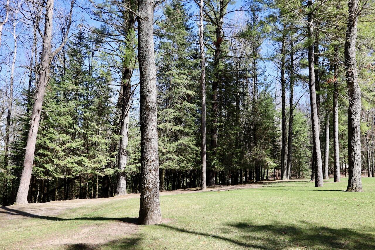 1697 Wildwood Road Sterling, MI 48659 - Photo 66 of 85 IMG_2149