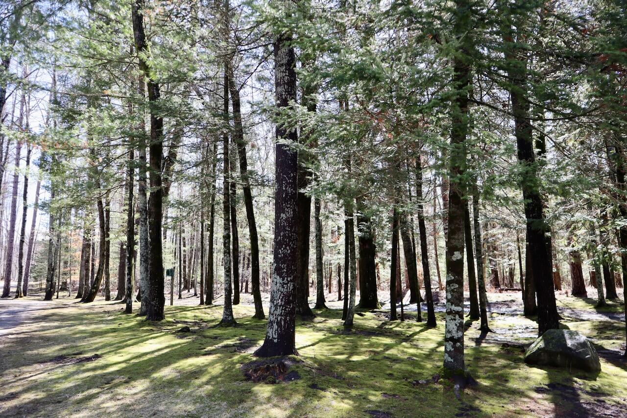 1697 Wildwood Road Sterling, MI 48659 - Photo 67 of 85 IMG_2146