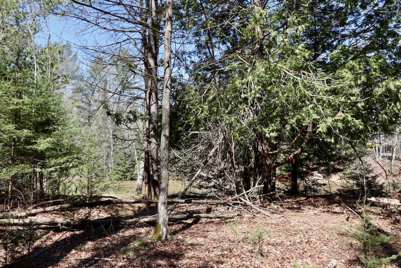 1697 Wildwood Road Sterling, MI 48659 - Photo 72 of 85 IMG_2154