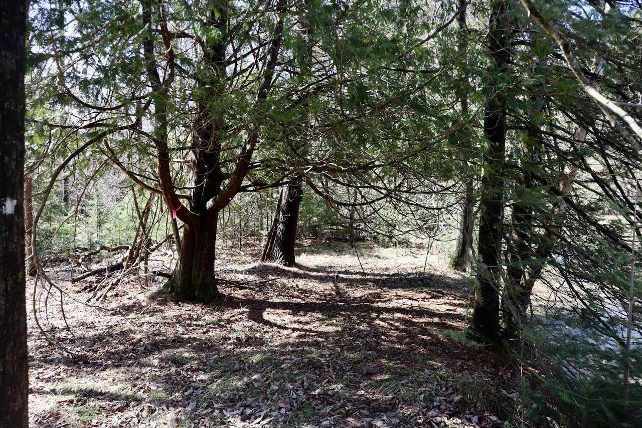 1697 Wildwood Road Sterling, MI 48659 - Photo 74 of 85 IMG_2160