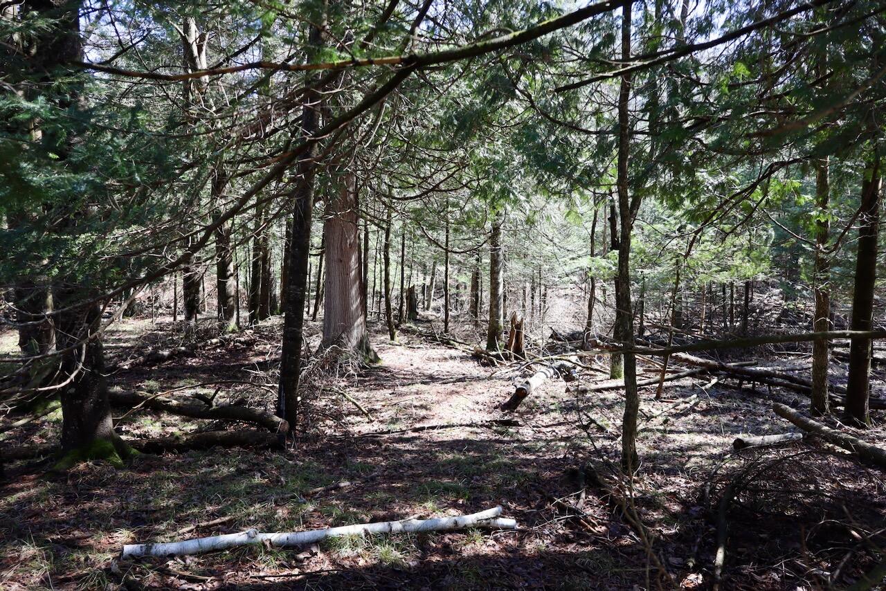 1697 Wildwood Road Sterling, MI 48659 - Photo 75 of 85 IMG_2161