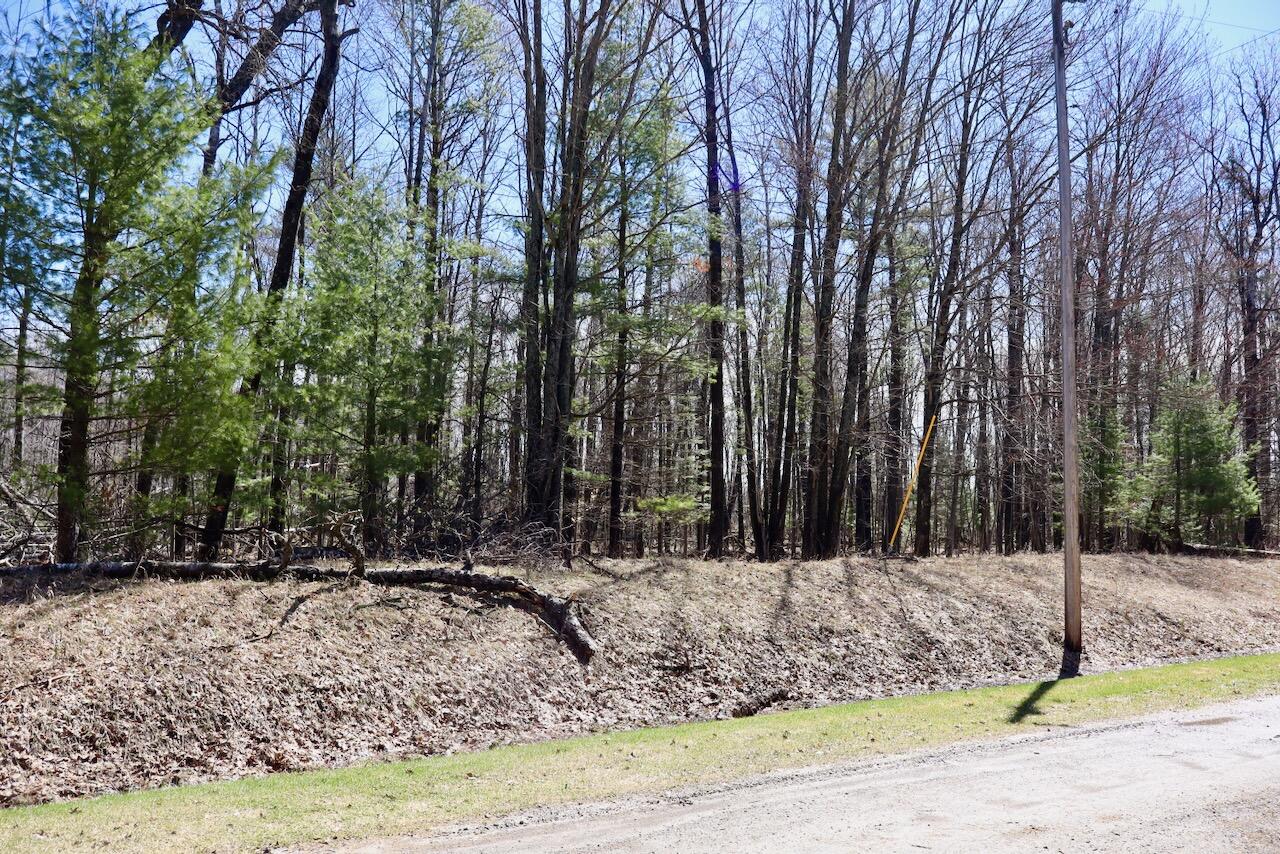 1697 Wildwood Road Sterling, MI 48659 - Photo 80 of 85 IMG_2169