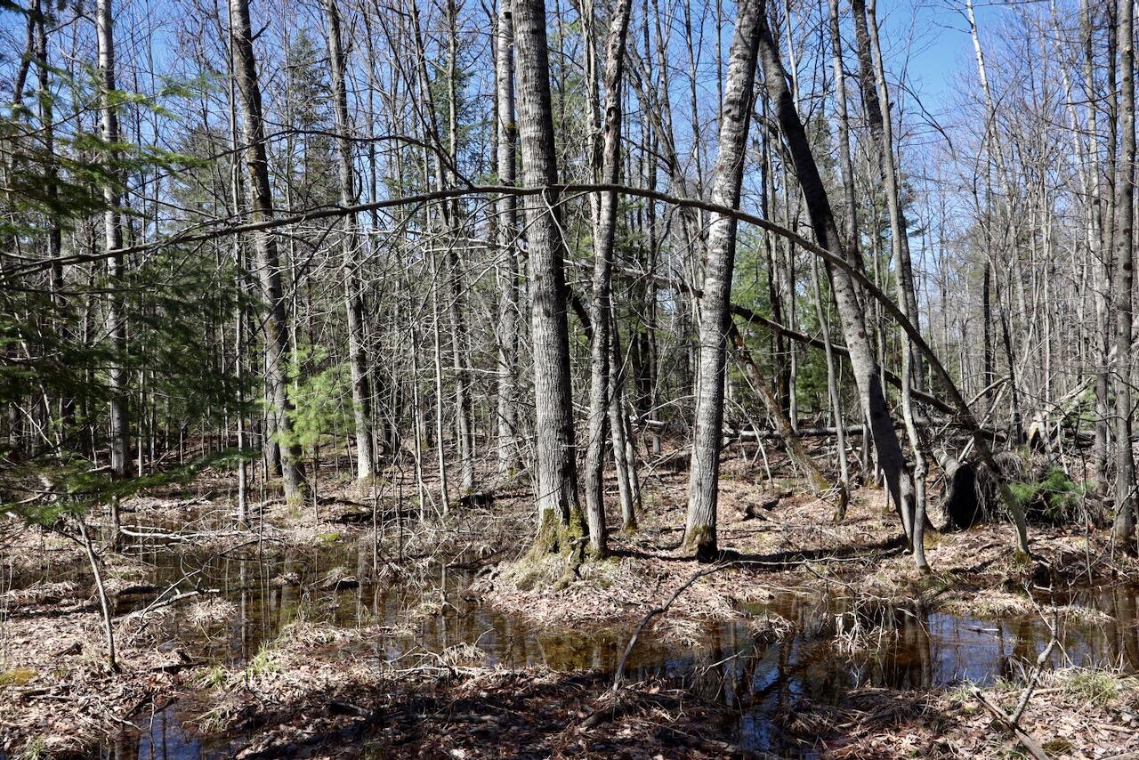 1697 Wildwood Road Sterling, MI 48659 - Photo 82 of 85 IMG_2171