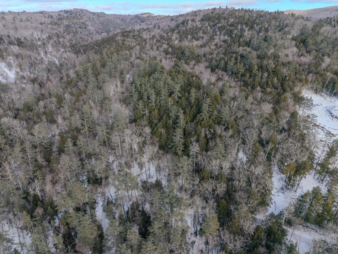 0 Wetherbee Road, Unit 19 Lyman, NH 03585 - Photo 6 of 14