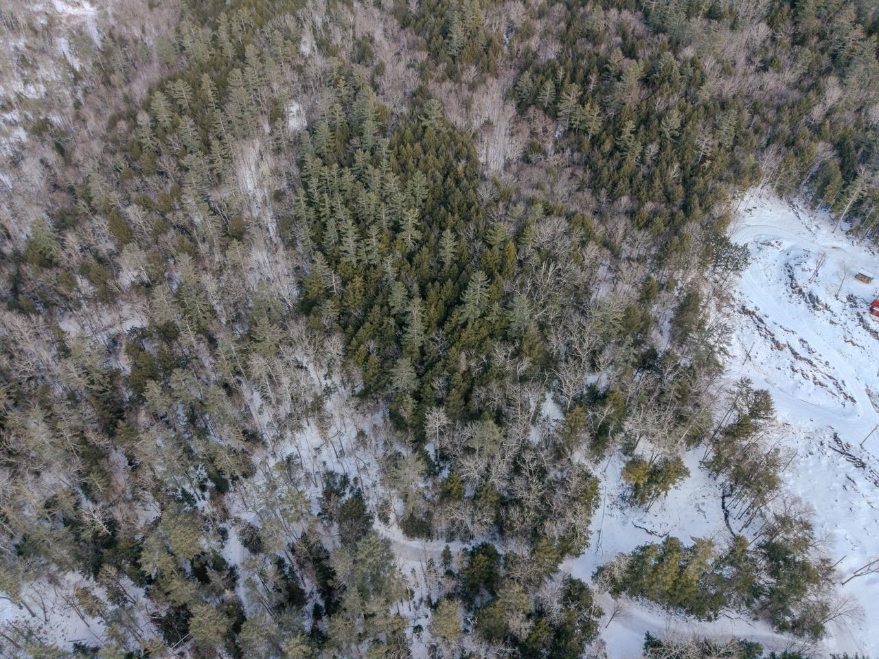 0 Wetherbee Road, Unit 19 Lyman, NH 03585 - Photo 9 of 14