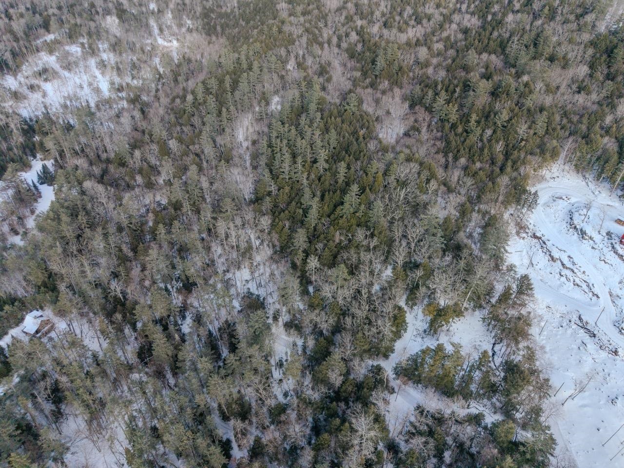 0 Wetherbee Road, Unit 19 Lyman, NH 03585 - Photo 10 of 14