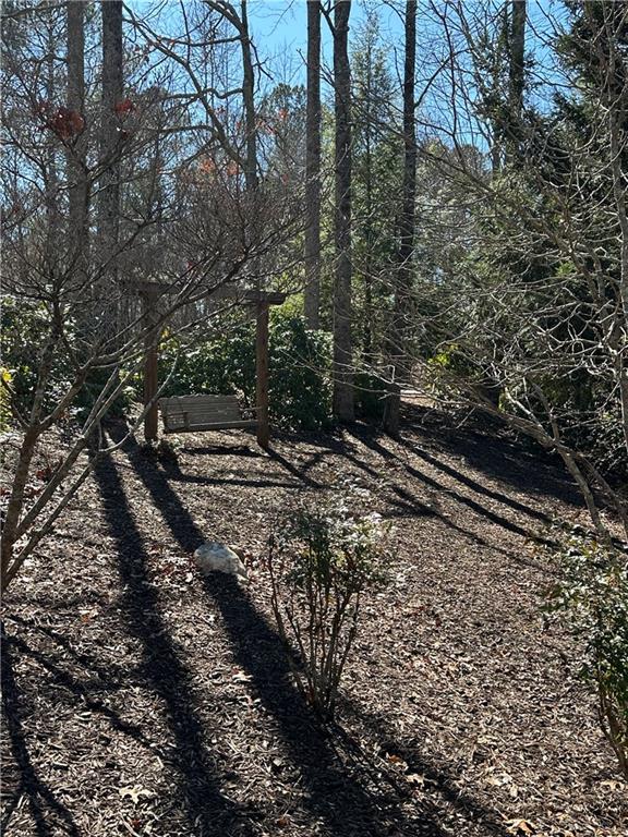 0 Coffee Mill Run Talking Rock, GA 30175 - Photo 4 of 10