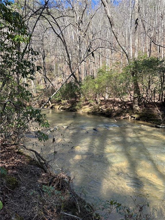 0 Coffee Mill Run Talking Rock, GA 30175 - Photo 6 of 10
