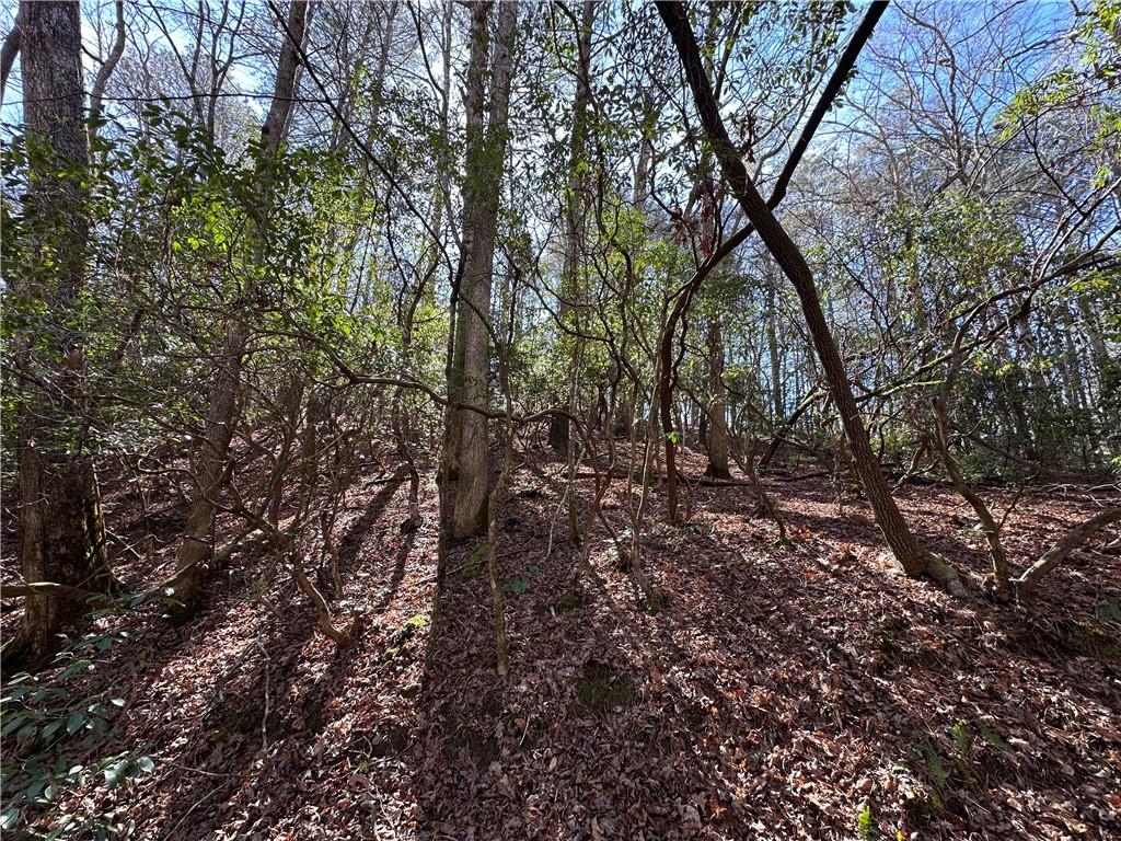 0 Coffee Mill Run Talking Rock, GA 30175 - Photo 9 of 10