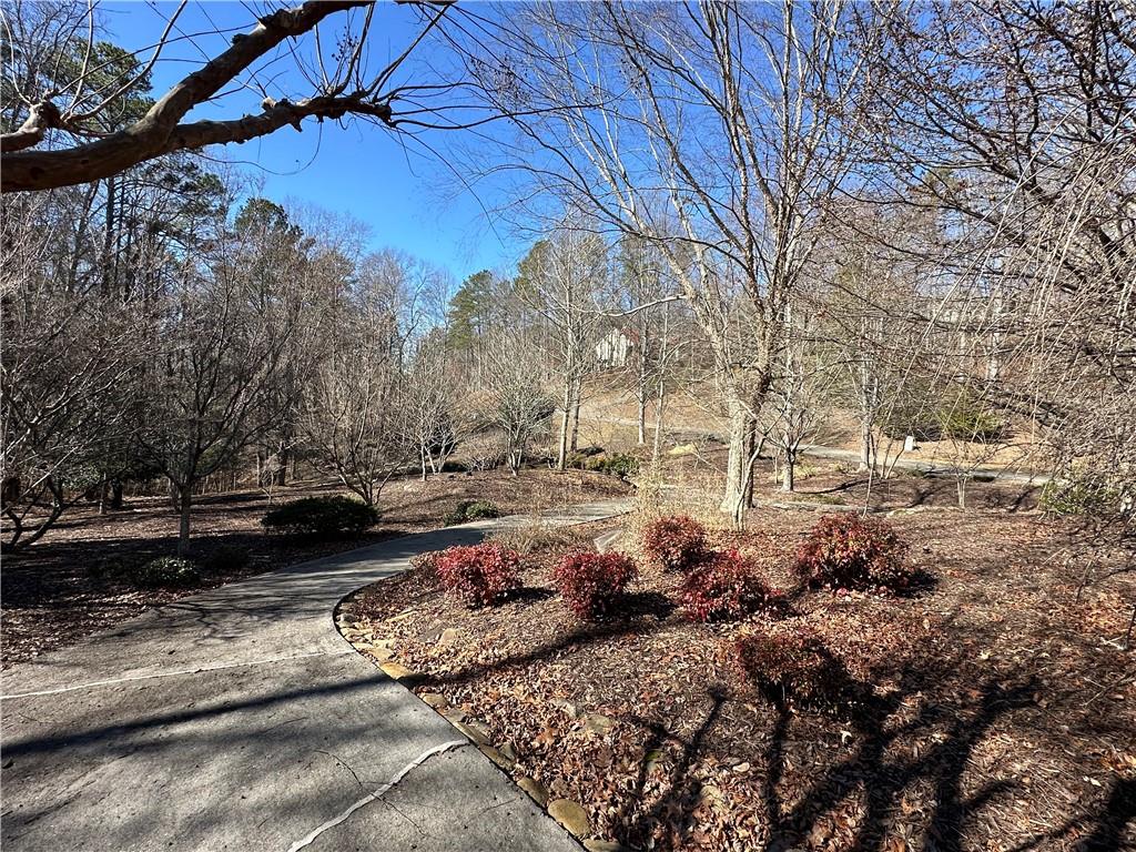 0 Coffee Mill Run Talking Rock, GA 30175 - Photo 10 of 10