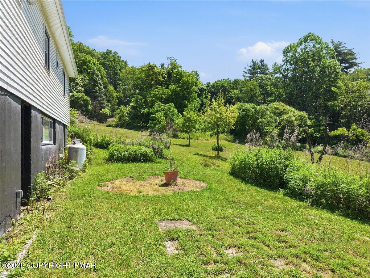 156 Old Mill Road Dalton, PA 18414 - Photo 56 of 66 Yard view
