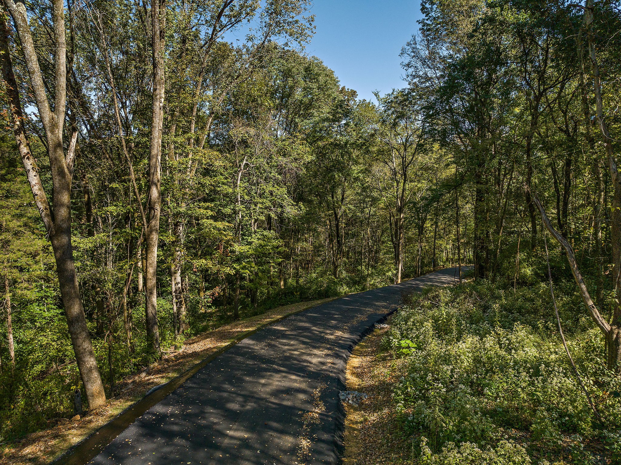 8387 Collins Road Nashville, TN 37221 - Photo 18 of 30 Gallery Image 18