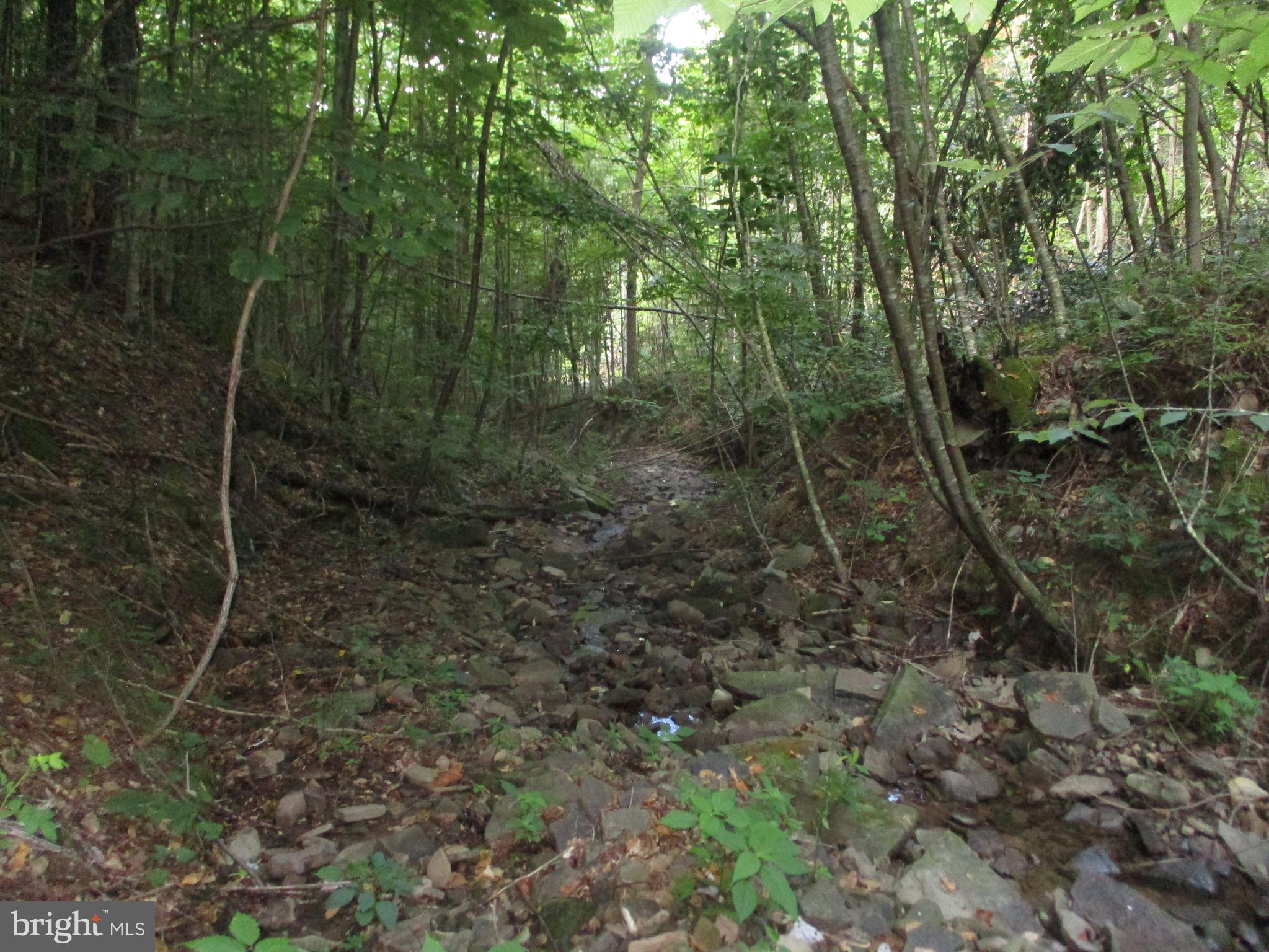1000 Snake Road Aurora, WV 26705 - Photo 3 of 3