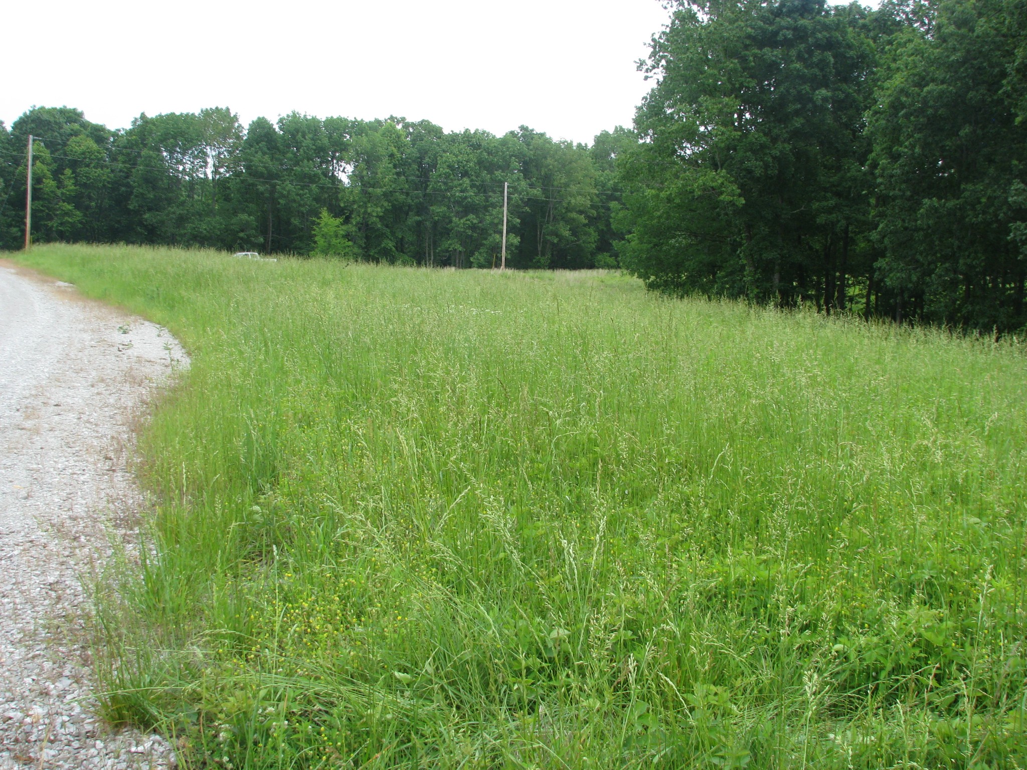 0 Barge Road Waverly, TN 37185 - Photo 9 of 11 a view of outdoor space and yard