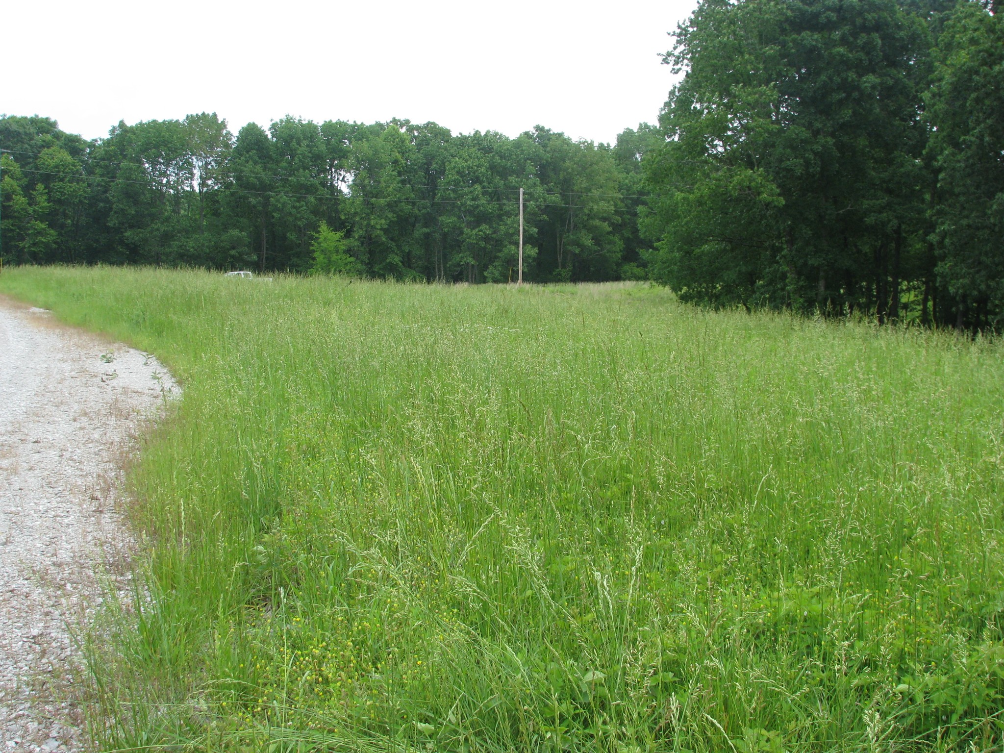 0 Barge Road Waverly, TN 37185 - Photo 10 of 11 a view of an outdoor space and a yard