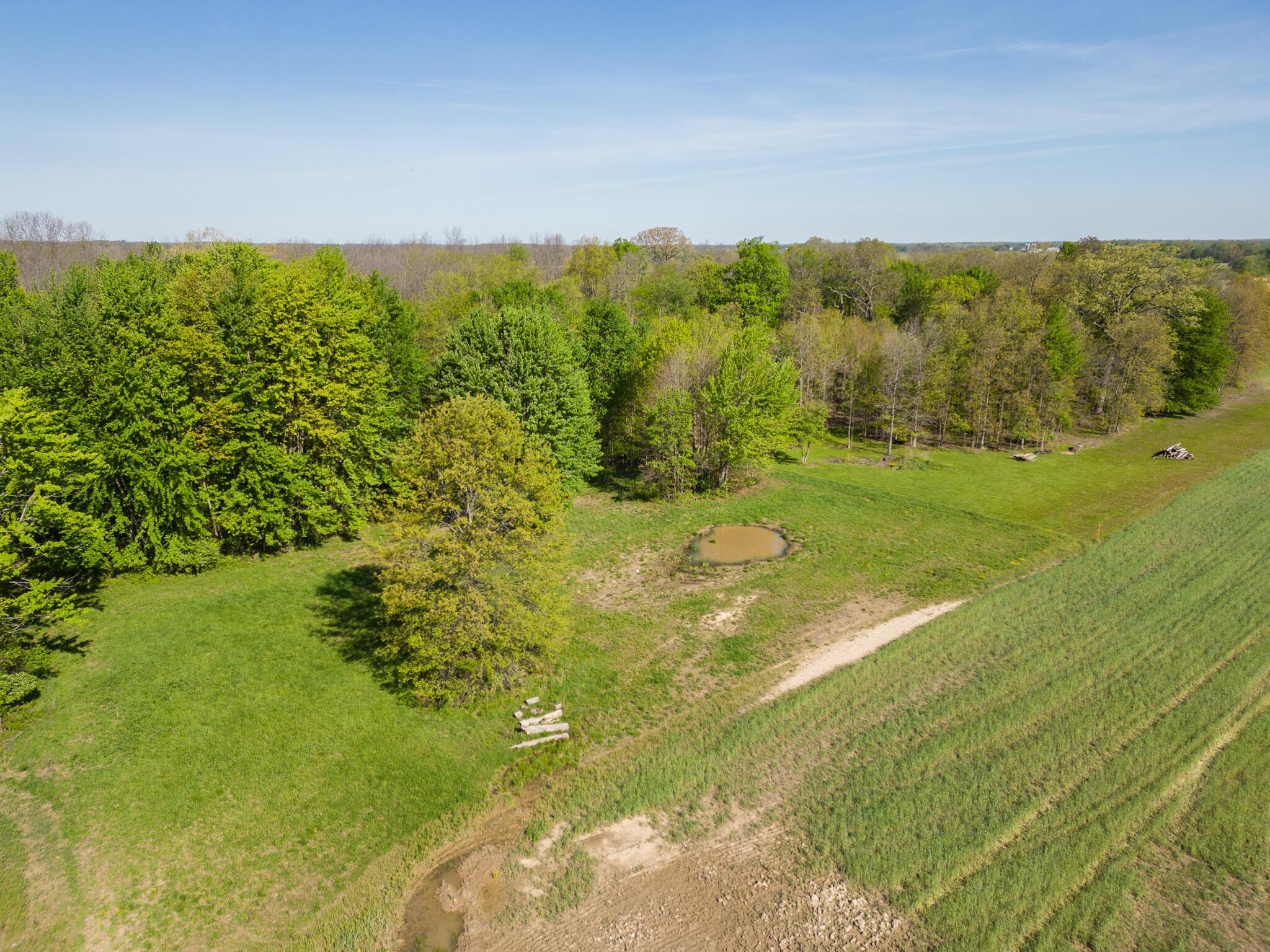 5387 Dildine Road Delaware, OH 43015 - Photo 28 of 37 47