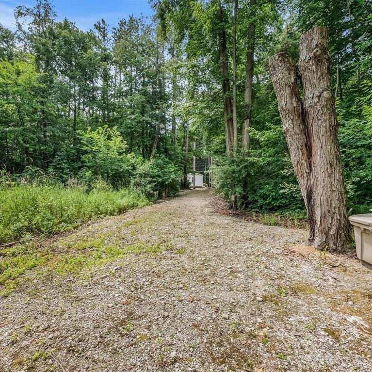 8143 Pine Ridge Road Reading, MI 49274 - Photo 24 of 29 Dock view to the house