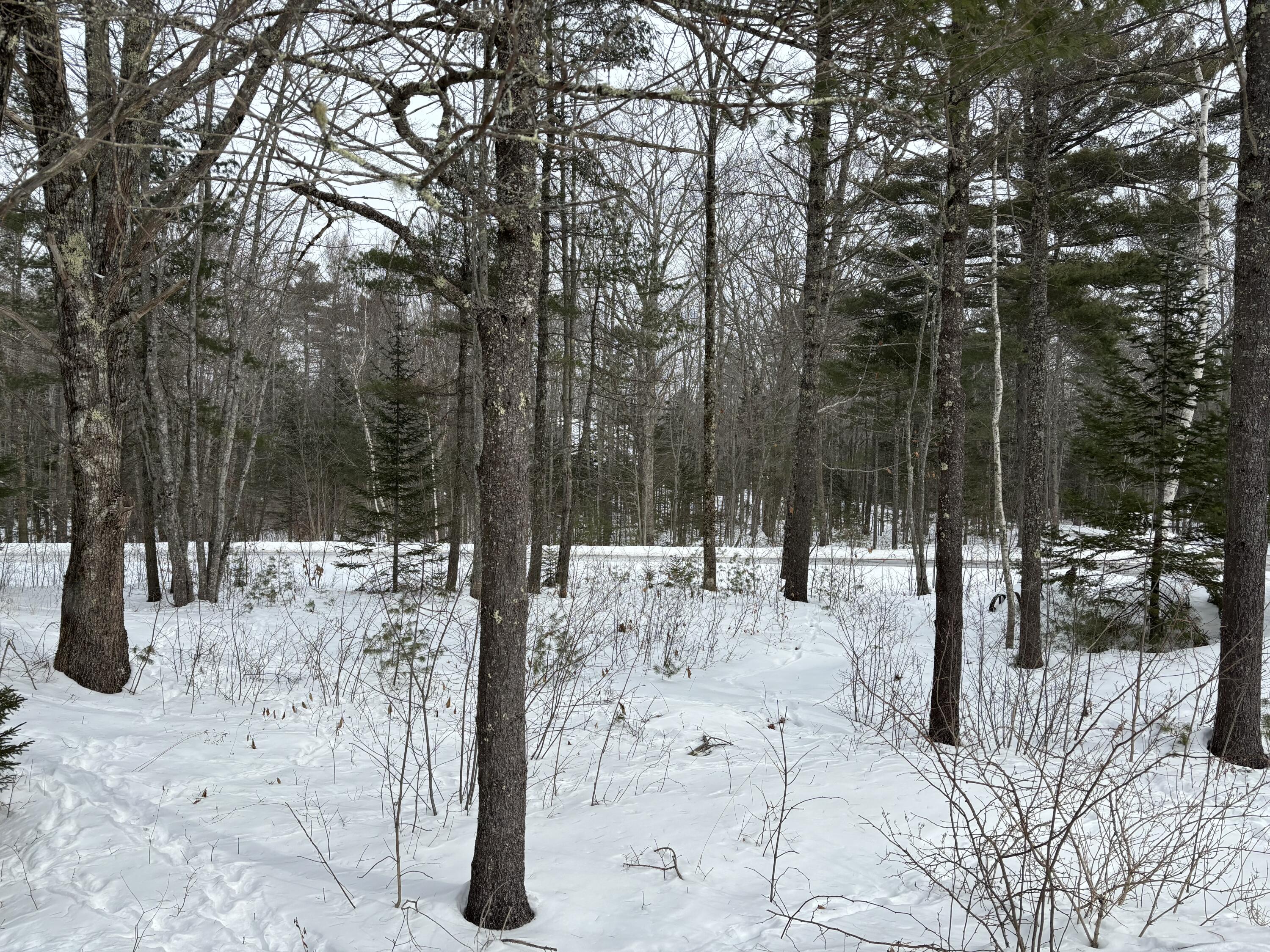 26 Old Nutt Farm Road Rockport, ME 04856 - Photo 65 of 68 IMG_2547