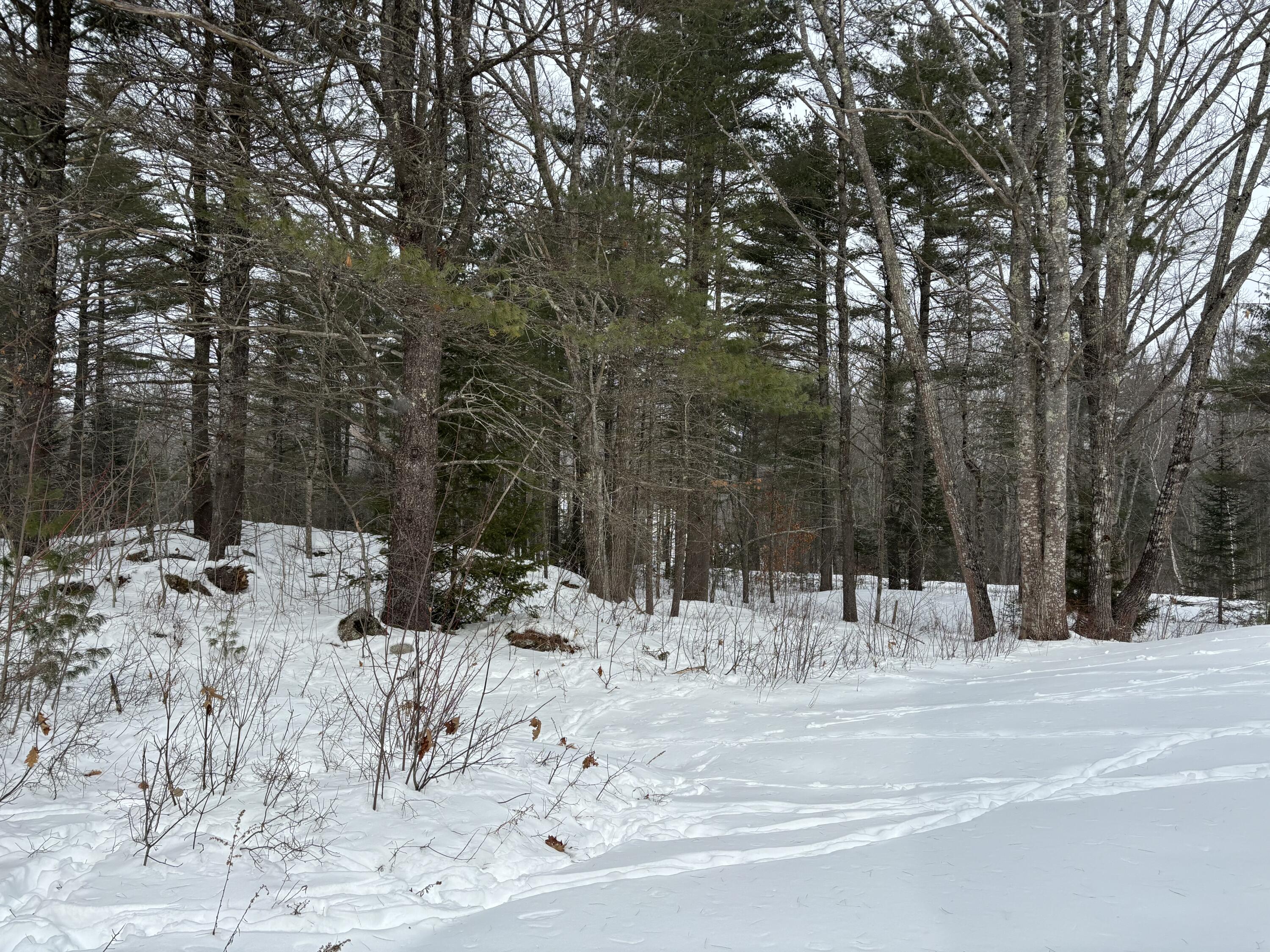 26 Old Nutt Farm Road Rockport, ME 04856 - Photo 66 of 68 IMG_2542