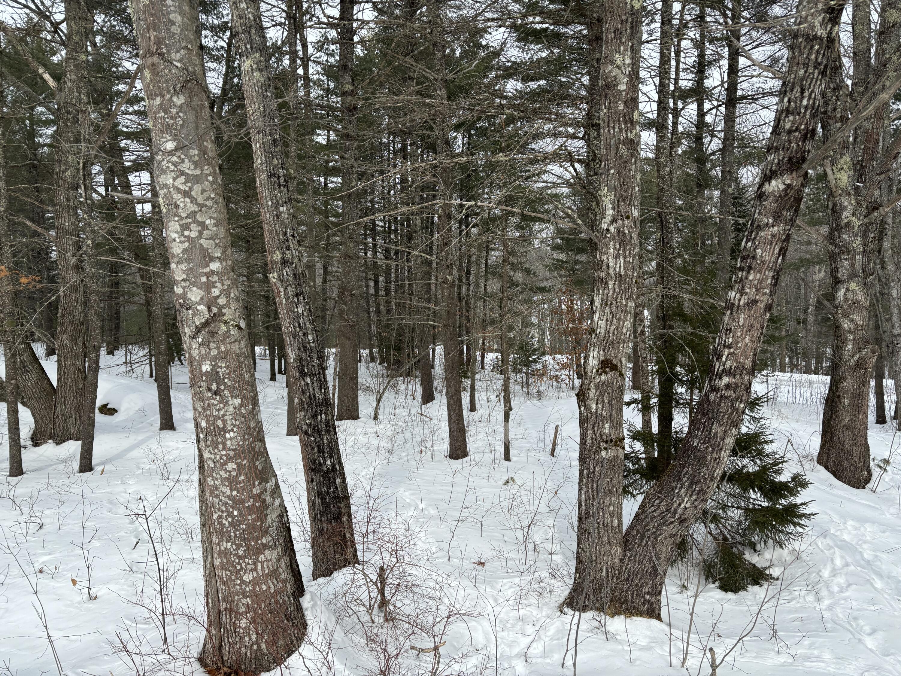 26 Old Nutt Farm Road Rockport, ME 04856 - Photo 68 of 68 IMG_2546