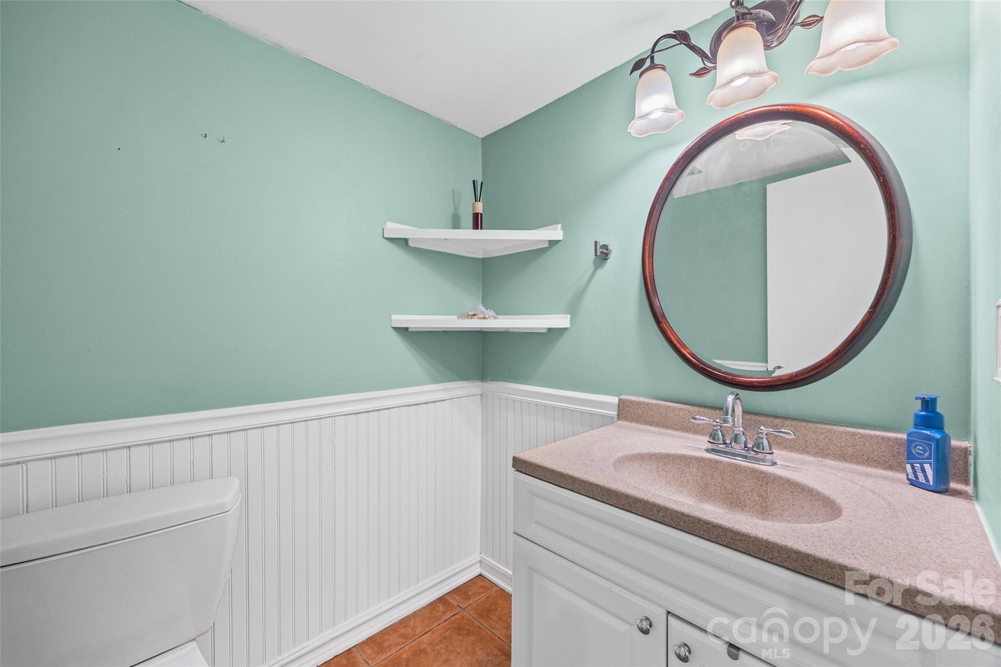 234 Riverview Terrace Clover, SC 29710 - Photo 6 of 35 a bathroom with a sink and a mirror