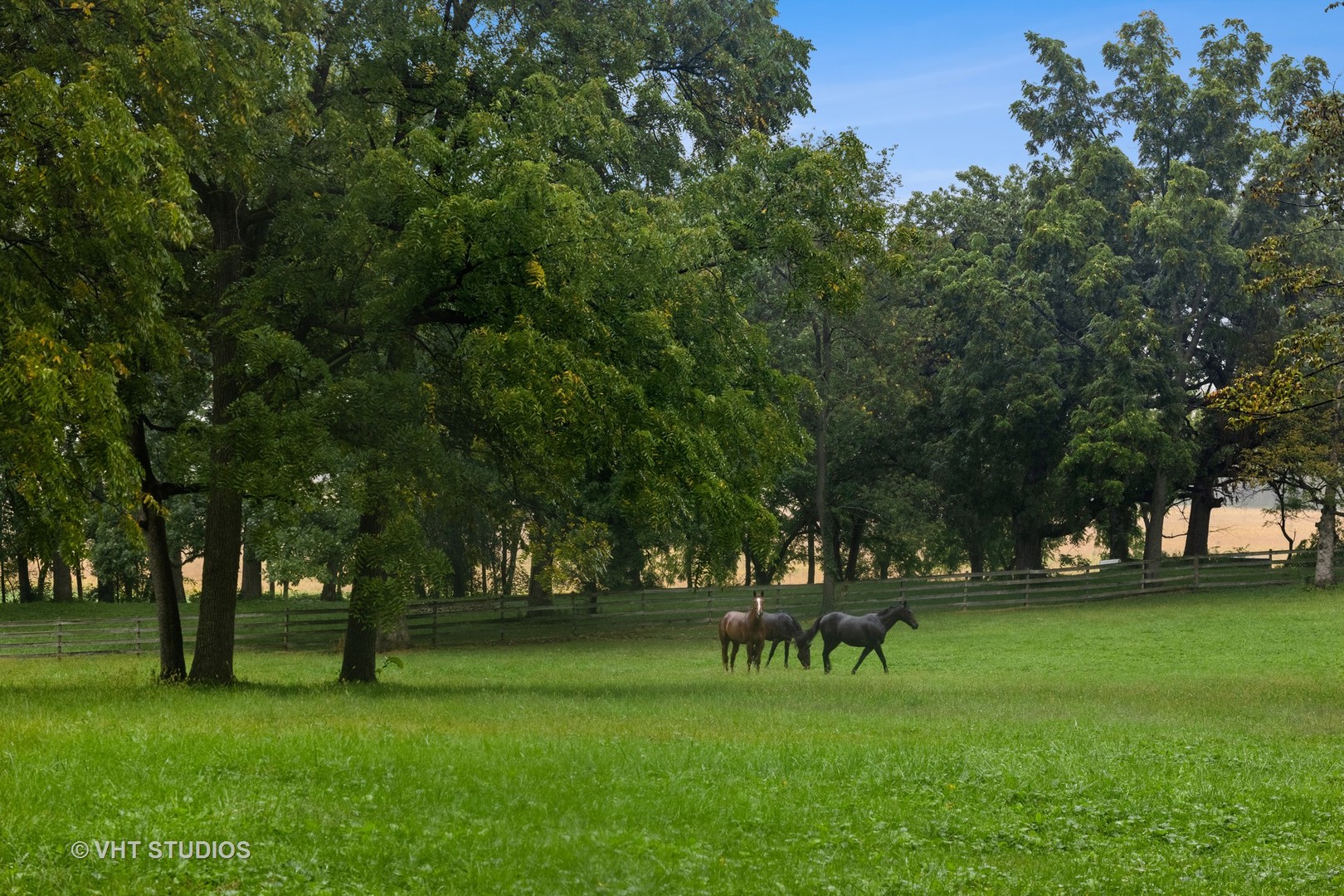 3S557 Norris Road Sugar Grove, IL 60554 - Photo 41 of 46 a view of park with trees