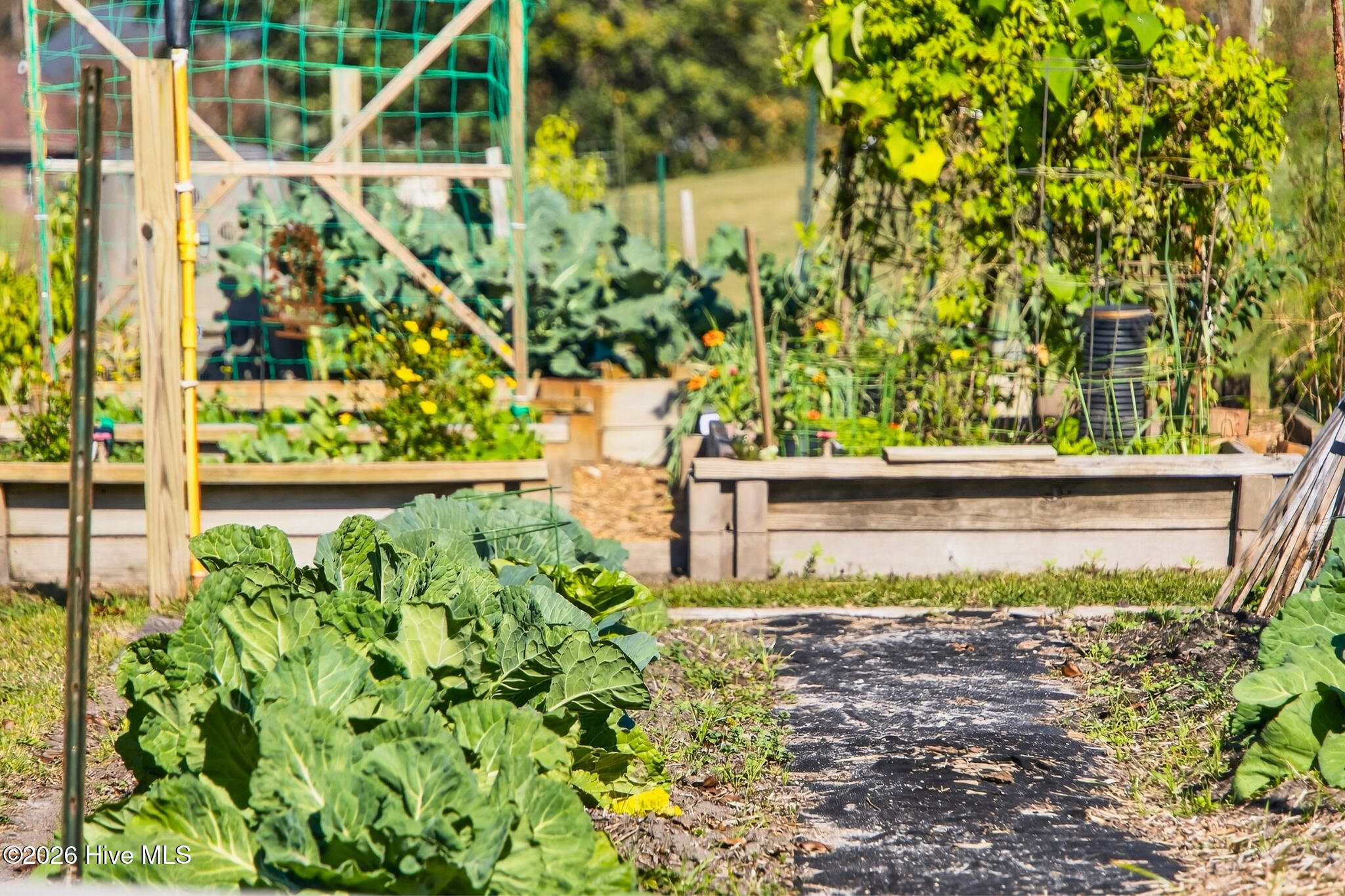 547 Morely Circle Southwest Ocean Isle Beach, NC 28469 - Photo 45 of 60 47